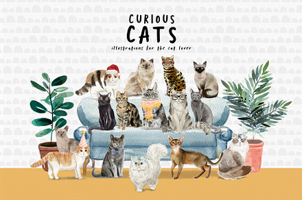 Curious Cats Feline Clipart, an Animal Illustration by Twigs and Twine