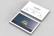 Abstract Business Card Template- S09, a Business Card Template by M6 Gallery (Thumbnail 5 of 5)
