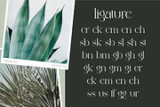 Michelia - Modern & Aesthetic, a Serif Font by ErgibiStudio (Thumbnail 6 of 12)