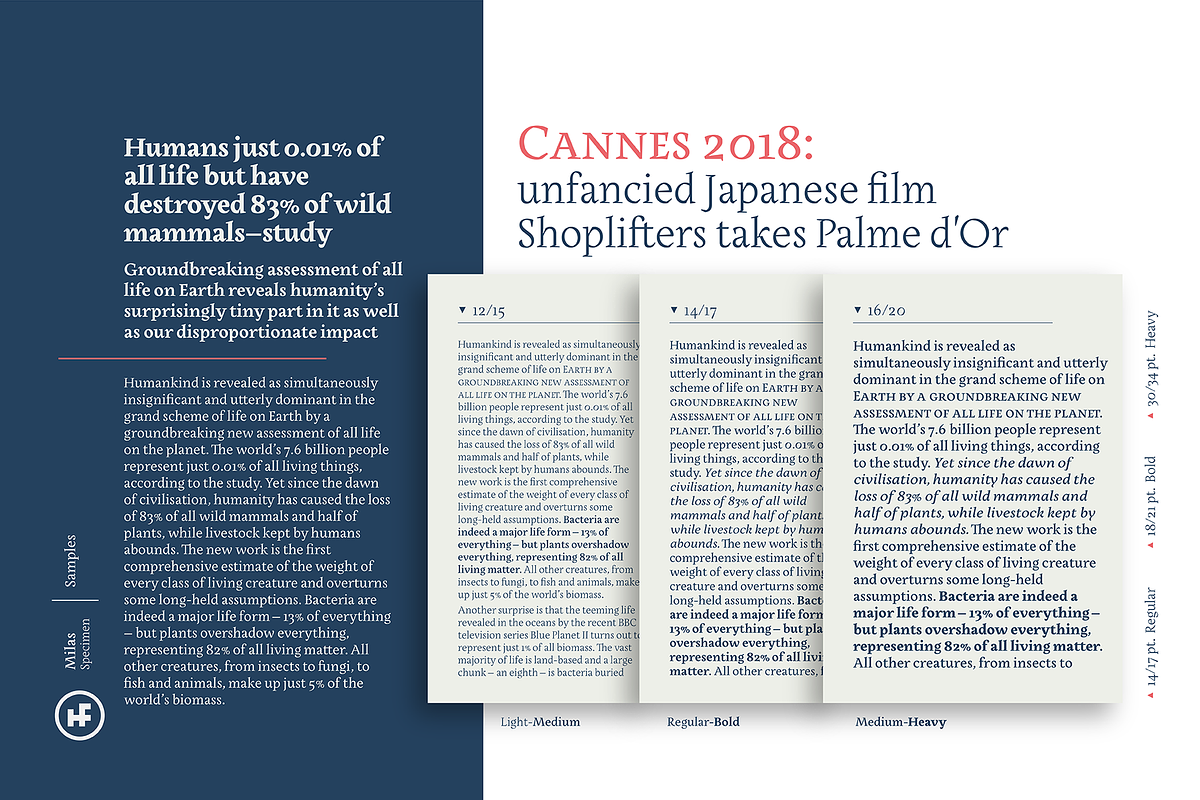 Milas Serif preview 7