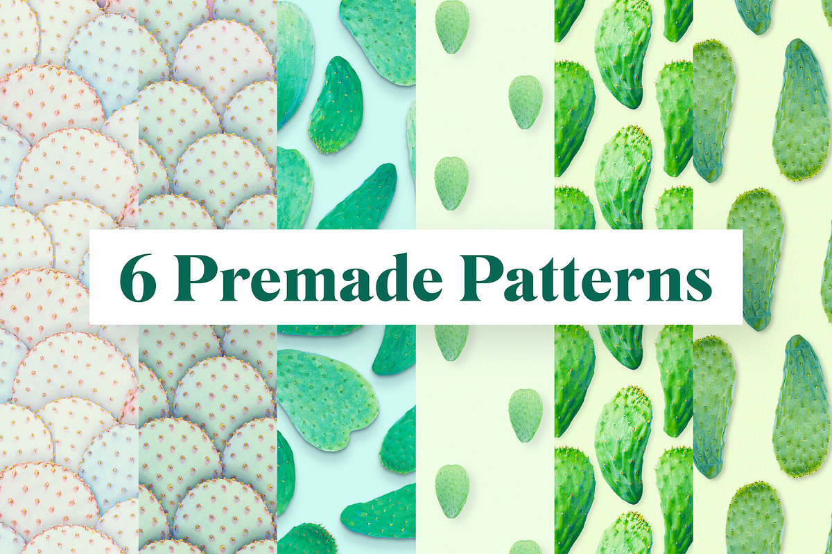 Prickly Pear Cactus & Succulents, an Object Graphic by Fox & Bear (Photo 4 of 6)