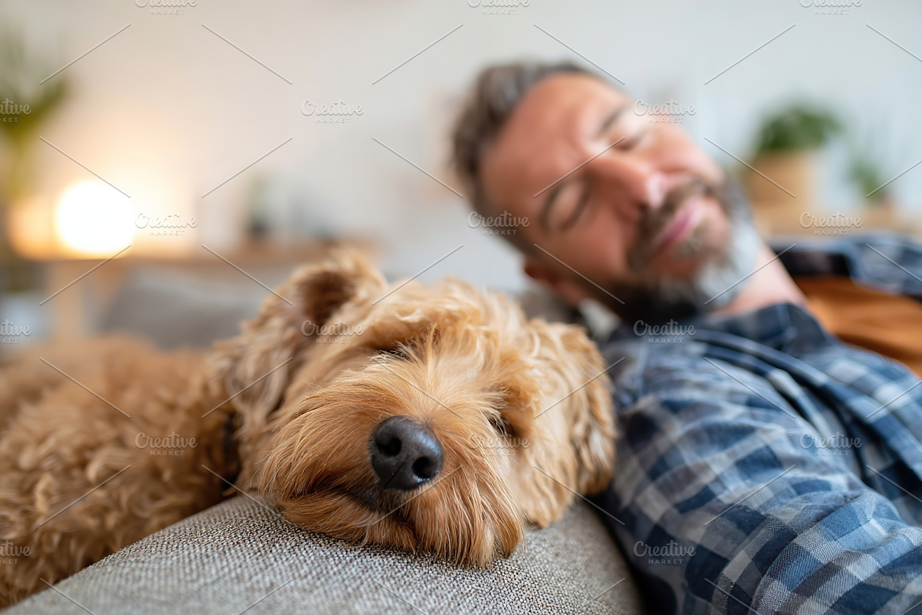 Man and dog napping together on a cozy sofa in a warm living room, a Photo by AlyaAnd