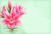 Illustrations of Lilies, a Texture Illustration by Sundra (Thumbnail 9 of 10)