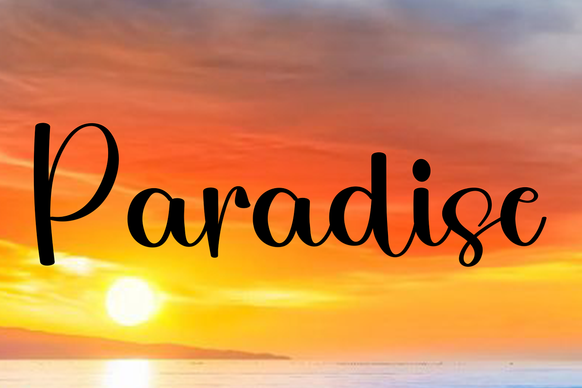 Summer Flower, a Handwritten Font by FreshTypeINK (Photo 4 of 7)