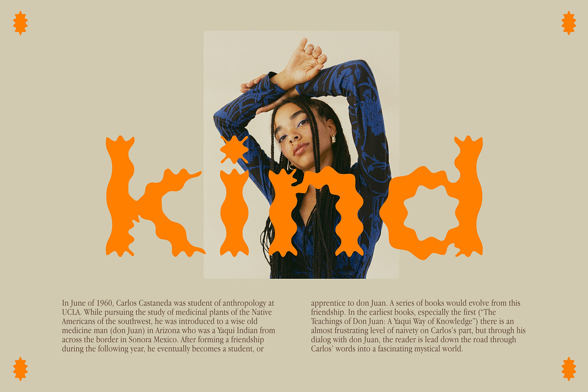 Plateau Font, a Sans Serif Font by Nomad Visuals (Photo 8 of 12)