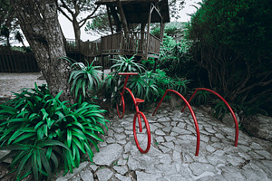 Red bike rack in tropical greenery, a Transportation Photo by SkyNext
