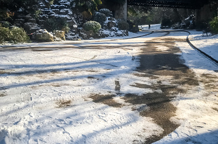 Buttes-Chaumont Park under the snow in winter, Paris, a Nature Photo by GoodGoods
