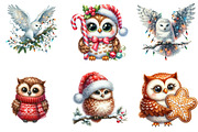 Christmas Cute Owl Sublimation Clipa, an Illustration by DreamArtGraphic (Thumbnail 2 of 5)