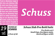 SchussSlabProBoldIta No.19 (1 Font), a Slab Serif Font by typic schuss (Thumbnail 1 of 6)