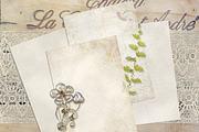 Vintage Floral Damask Digital Papers, a Texture Graphic by Posh Papers & Patterns (Thumbnail 3 of 5)