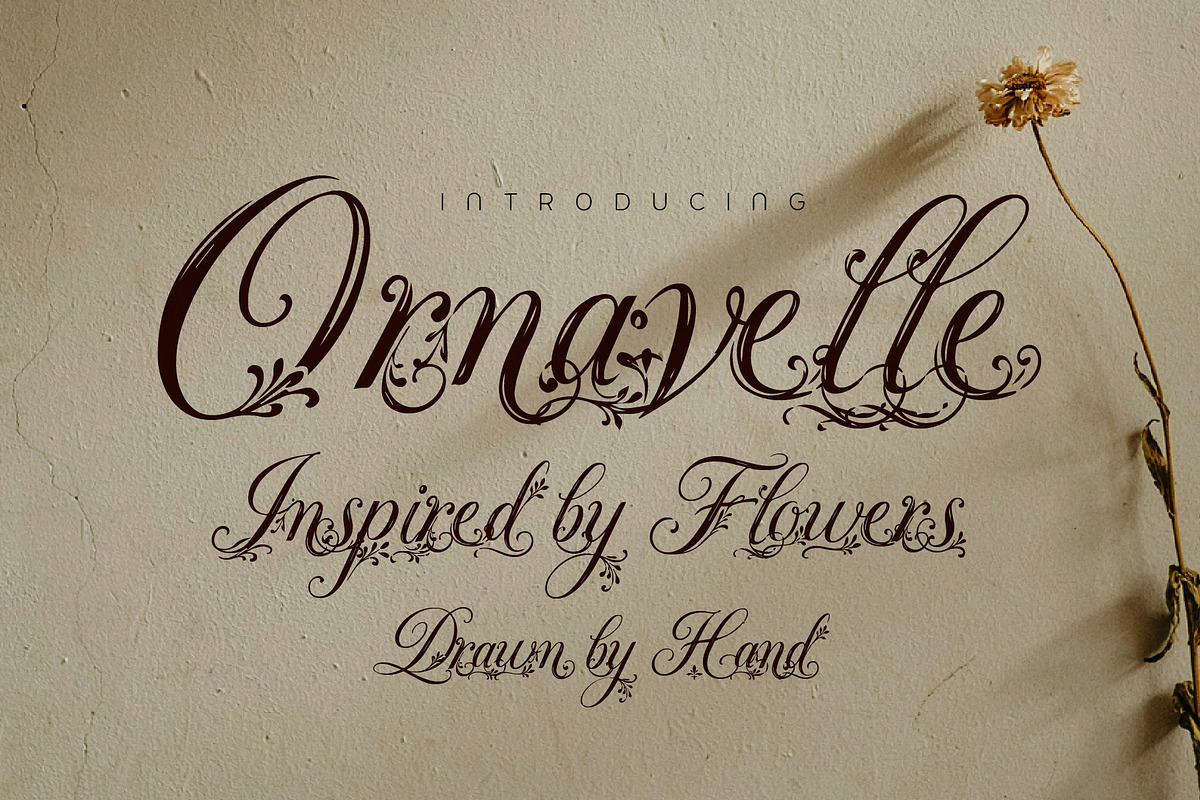 FLORAL DECORATIVE FONT COLLECTION, a Script Font by HypeWorksCo (Photo 11 of 18)