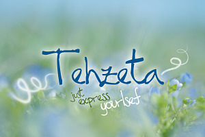 TEHZETA font (commercial use)