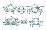 Crabs set + seamless patterns, an Animal Illustration by Good Studio (Thumbnail 3 of 14)