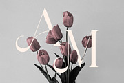 Michola - Beautiful Serif Font, a Serif Font by Aqeel_Art (Thumbnail 7 of 12)