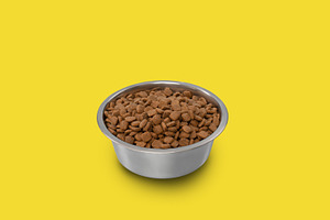 Dry pet food in bowl isolated on yellow studio background, a Photo by Prostock-Studio