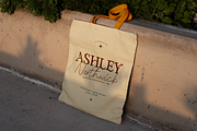 Ashley Northwick - A Modern Font Duo, a Serif Font by Ainun Jinan (Thumbnail 9 of 12)