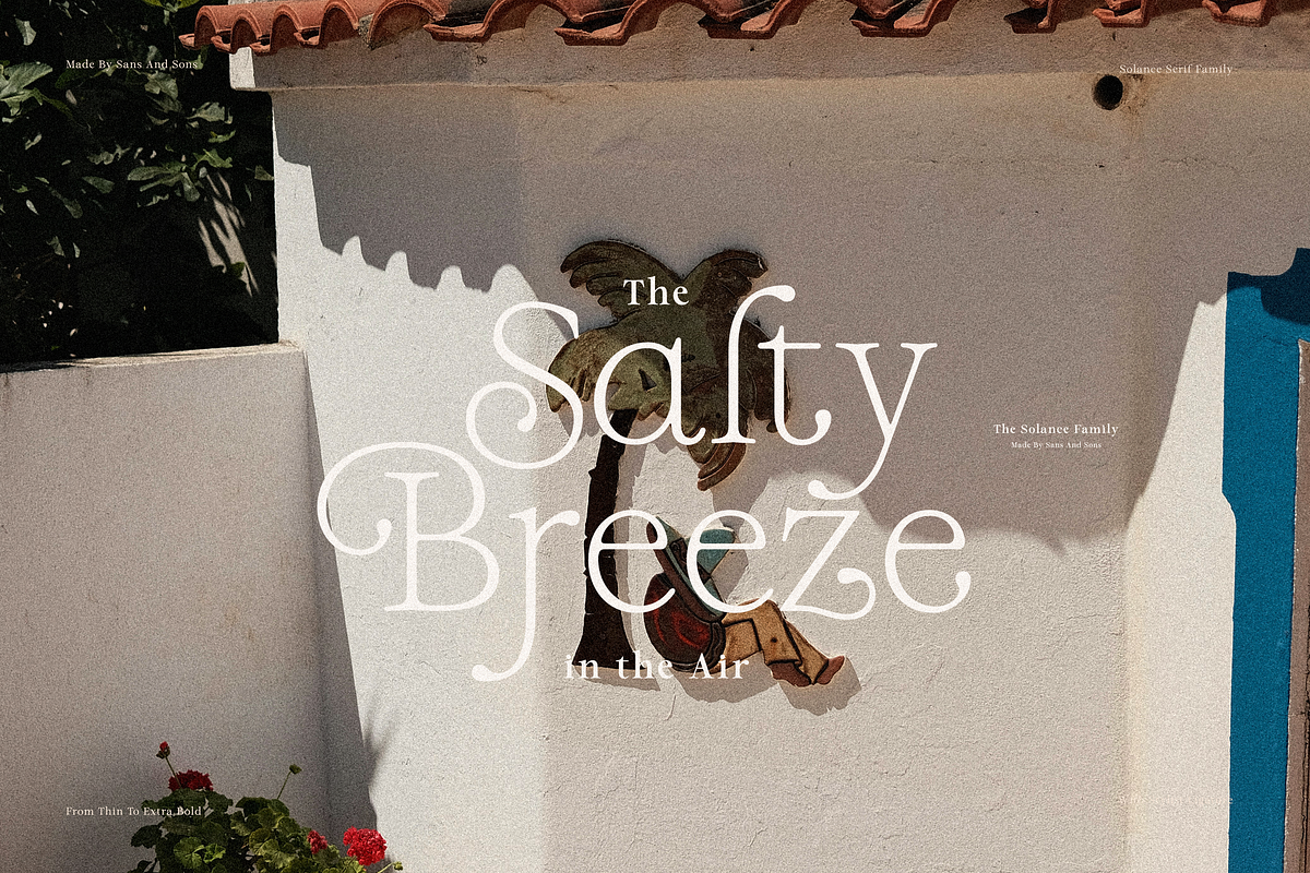 Solance Serif, a Serif Font by Sans & Sons (Photo 8 of 10)