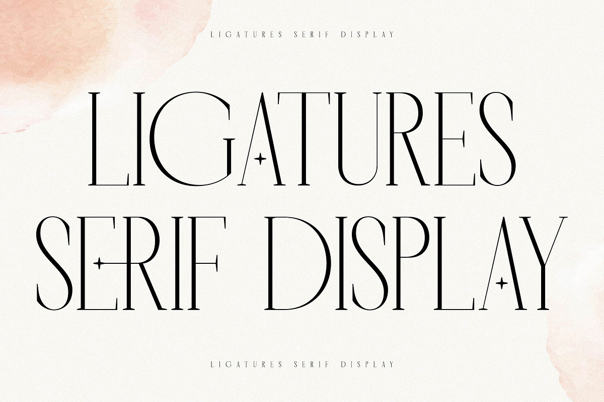 Horence  Ligature Serif Display, a Serif Font by Storytype Studio (Photo 3 of 15)