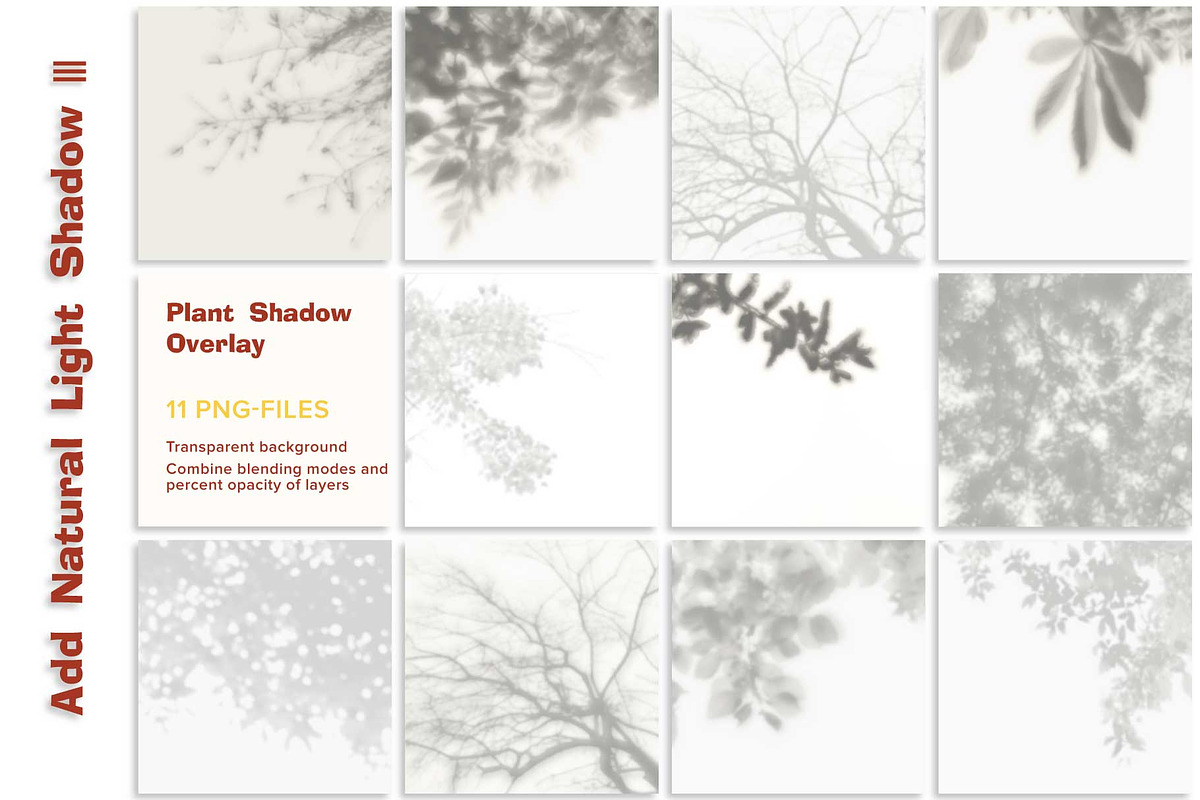 11 Instagram Posts Creator 10-20 day, a Social Media Template by Zimages (Photo 3 of 6)