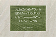Iguana - Airy & Grounded Font by Meg, a Sans Serif Font by MEG BURK CHOI (Thumbnail 2 of 3)