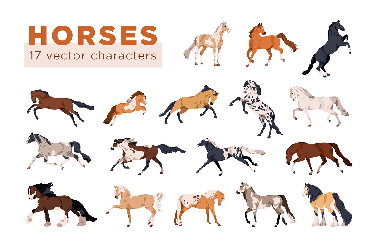 Horses of different breeds set, an Animal Illustration by Good Studio (Photo 1 of 4)