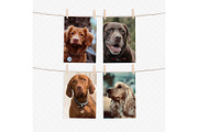 A4 print mockup with clothespins, a Print Template by Dorado Stock (Thumbnail 3 of 3)