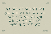 Monthe Calligraphy Serif Font, a Handwritten Font by Rasio Studio (Thumbnail 2 of 11)