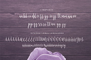 Violette Script Font, a Script Font by Sronstudio (Thumbnail 12 of 13)