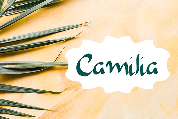 Camilia - Handwritten Script Font preview 6