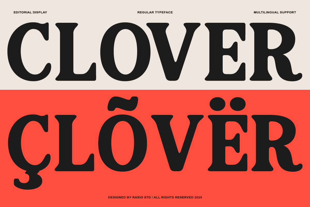 Pavalo Editorial Display Font, a Serif Font by Rasio Studio (Photo 6 of 8)