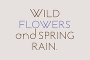 Hutan. Beautiful modern font., a Sans Serif Font by LostandFoundry (Thumbnail 4 of 8)