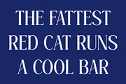 CS Alma Distort, a Serif Font by Craft Supply Co. (Thumbnail 5 of 8)