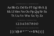 Zacorsea – Beauty Elegant Ligature, a Serif Font by Typia Nesia (Thumbnail 2 of 11)