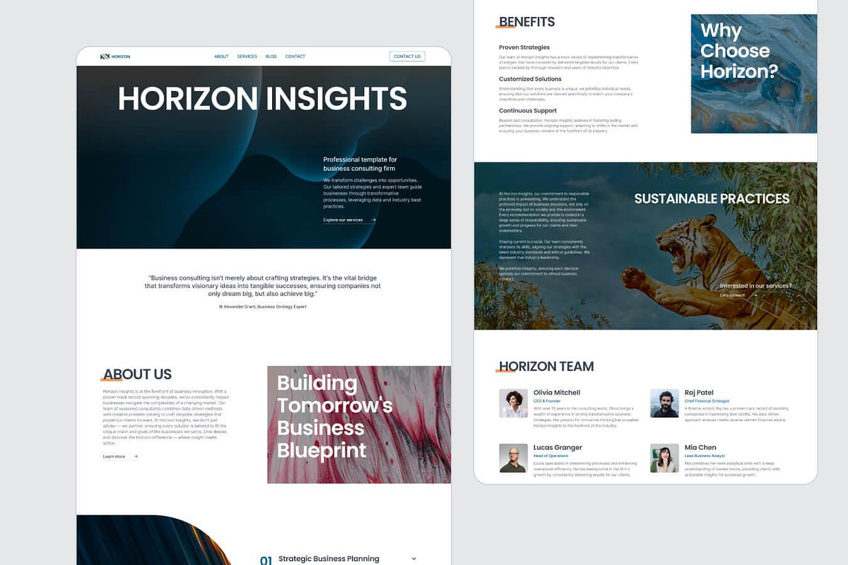 HorizonInsights - Agency Template, an UI Kit Template by EGO Creative Innovations (Photo 3 of 6)