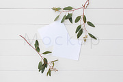 A2 Postcard Mockup - Eucalyptus 2, a Print Template by ILLONA GRAPHICS (Thumbnail 1 of 5)