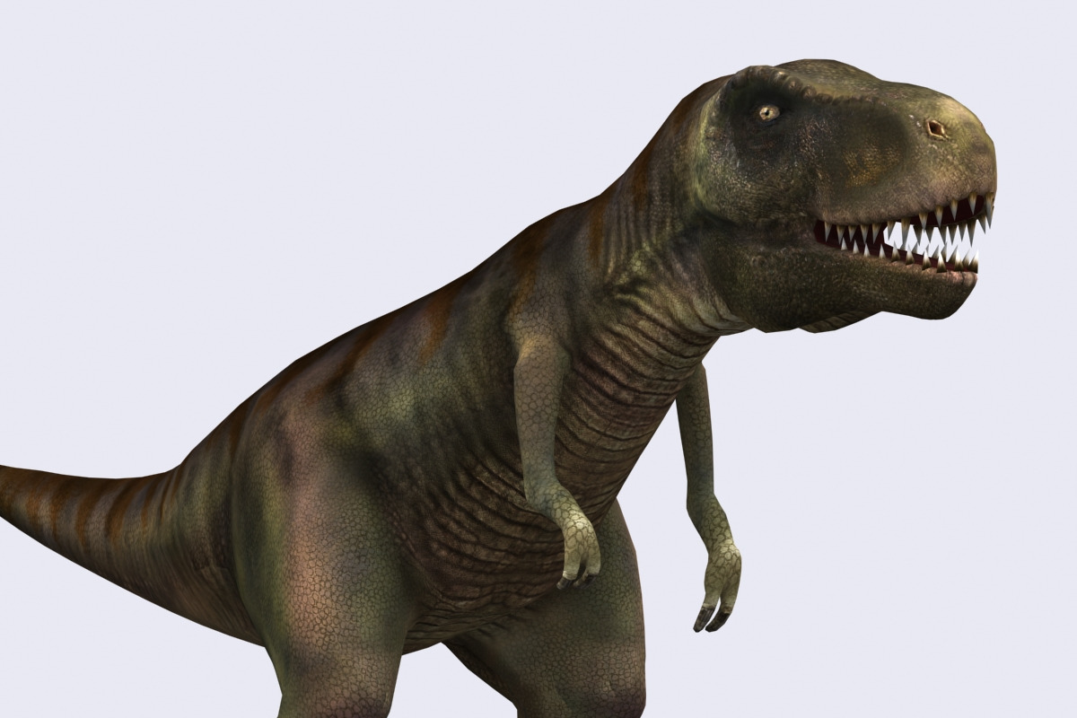 3DRT - Dinosaurs - Tyranosaurus, an Animal 3D Model by 3DRT.com (Photo 3 of 3)