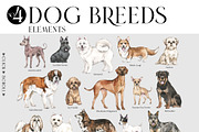 DOG BREEDS Encyclopedia, an Animal Illustration by Anastezia Luneva (Thumbnail 5 of 13)