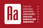 Roadhawk - Condensed Semi Serif, a Serif Font by Hindia Studio (Thumbnail 2 of 11)