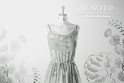 SEAWEED SEAMLESS PATTERNS & OBJECTS, a Decorative Illustration by Splash! (Thumbnail 3 of 8)