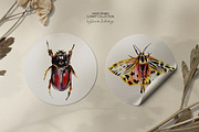 Insects and bugs watercolor clipart, an Object Graphic by ArtSpotVeronika (Thumbnail 7 of 11)