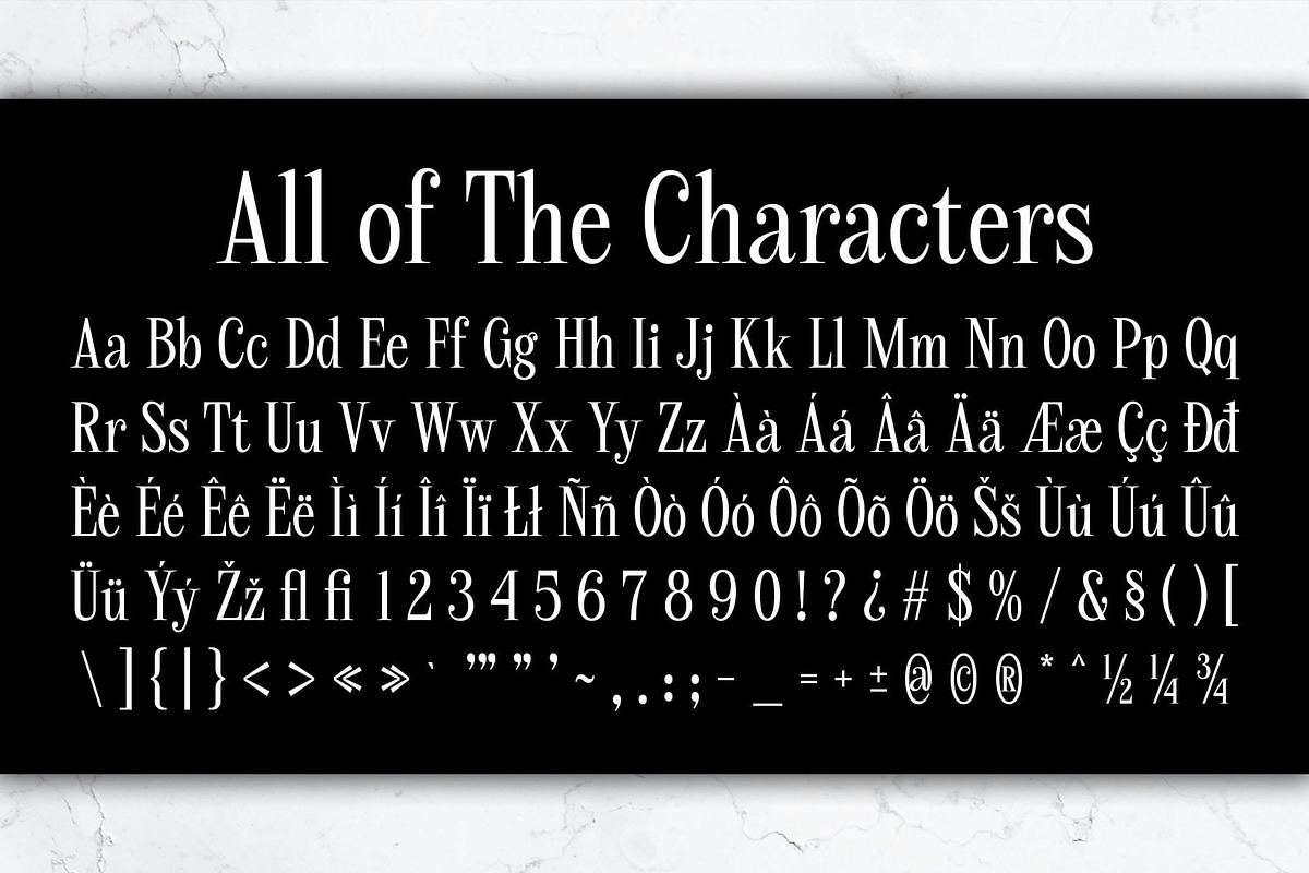 CS Meira – Elegant Font, a Serif Font by Craft Supply Co. (Photo 8 of 8)