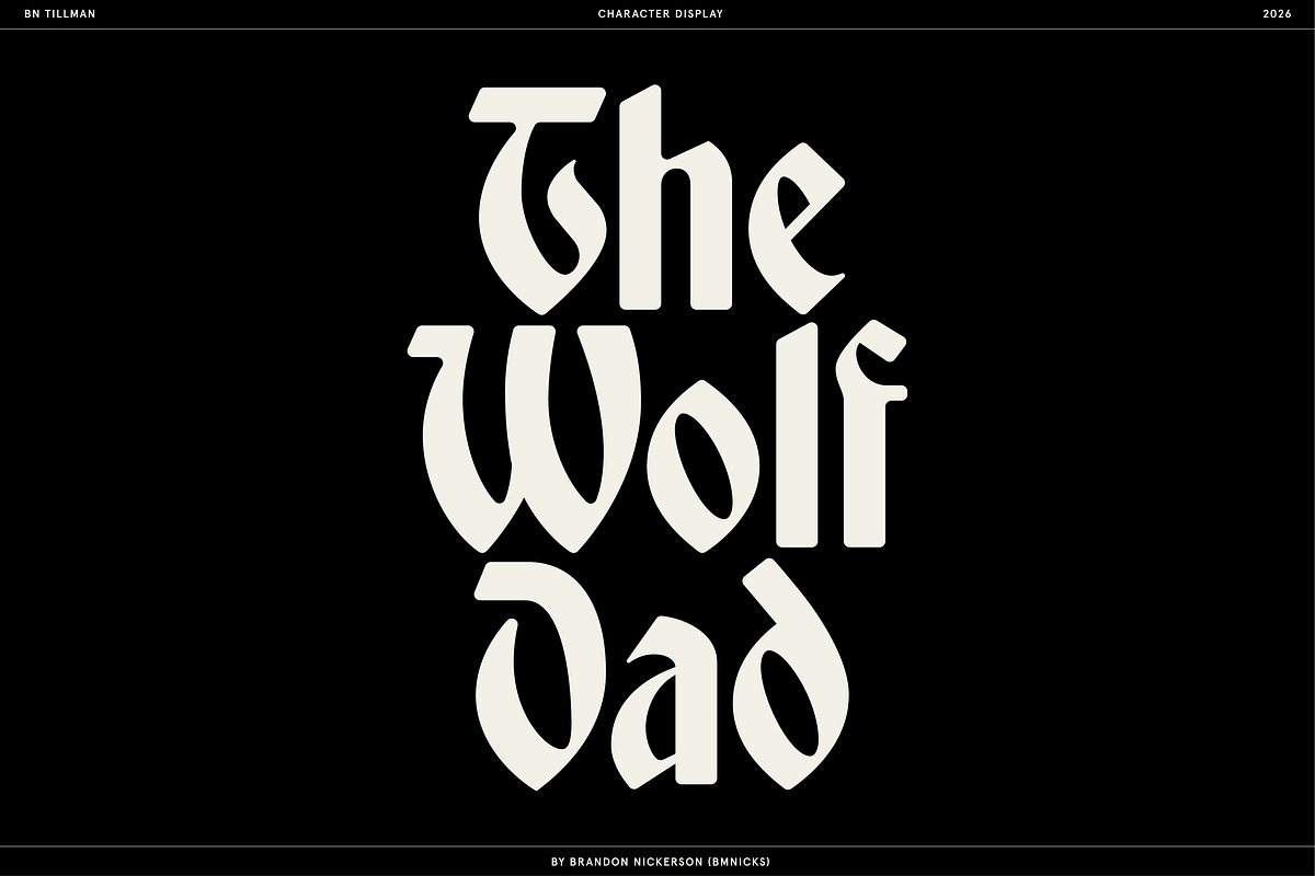 BN Tillman Gothic Display Typeface, a Serif Font by Bnick (Photo 5 of 12)
