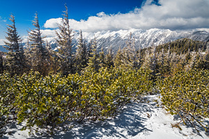Frozen winter scenery with mountains, a Nature Photo by Alpine Dreams