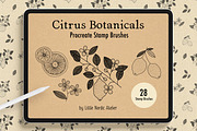 Citrus Botanicals Procreate Stamps, a Brush Add-On by Little Nordic Atelier (Thumbnail 1 of 6)