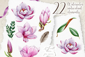 Pink Magnolia Watercolor Collection