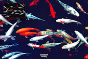 Exotic Canvas PS Actions Bundel, an Action Add-On by Amorjesu.com (Thumbnail 55 of 104)