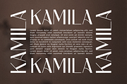 Palion Sans Serif, a Sans Serif Font by Maryamtype Studio (Thumbnail 5 of 11)