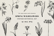 Spring Wildflower Vintage Vector Set, a Seasonal Illustration by Yevheniia (Thumbnail 1 of 9)