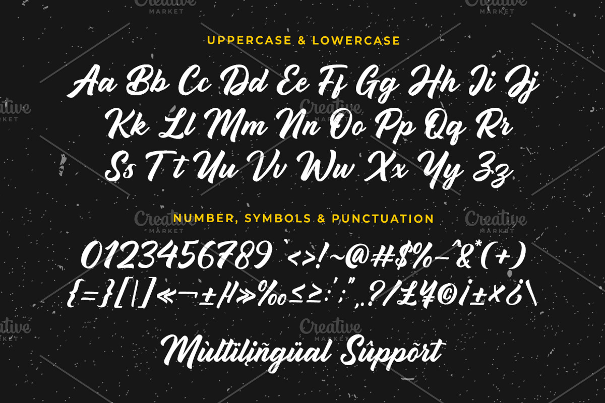Rigotamy - Script Font, a Script Font by prps.std (Photo 4 of 6)