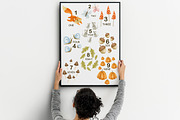 Watercolor autumn collection., a Decorative Illustration by Kira Konoshenko (Thumbnail 24 of 26)